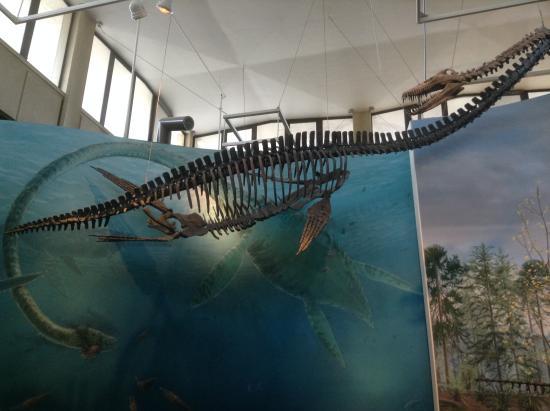 Burke Museum of Natural History and Culture